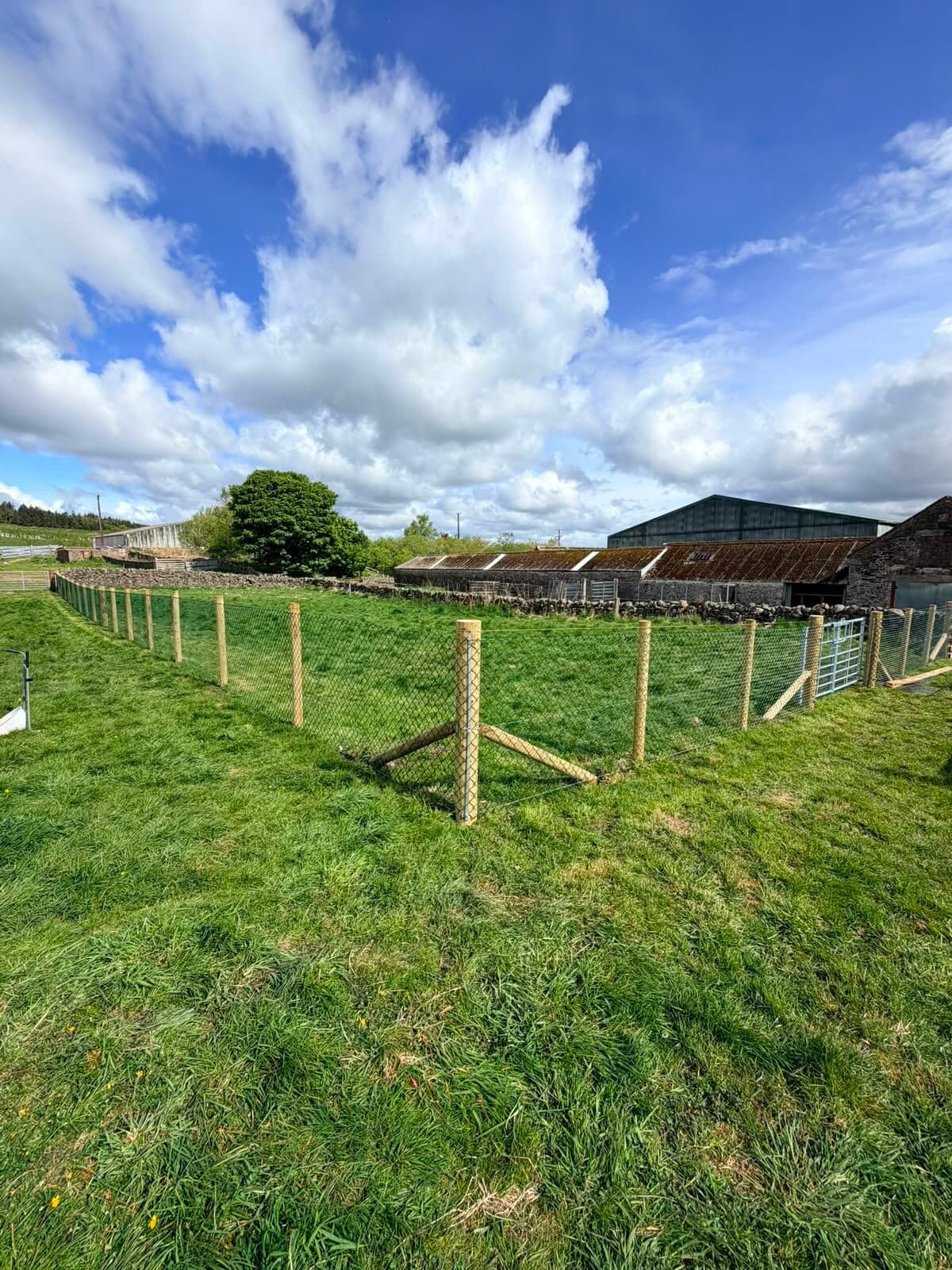 Post-and-rail fencing enclosing a roadside paddock