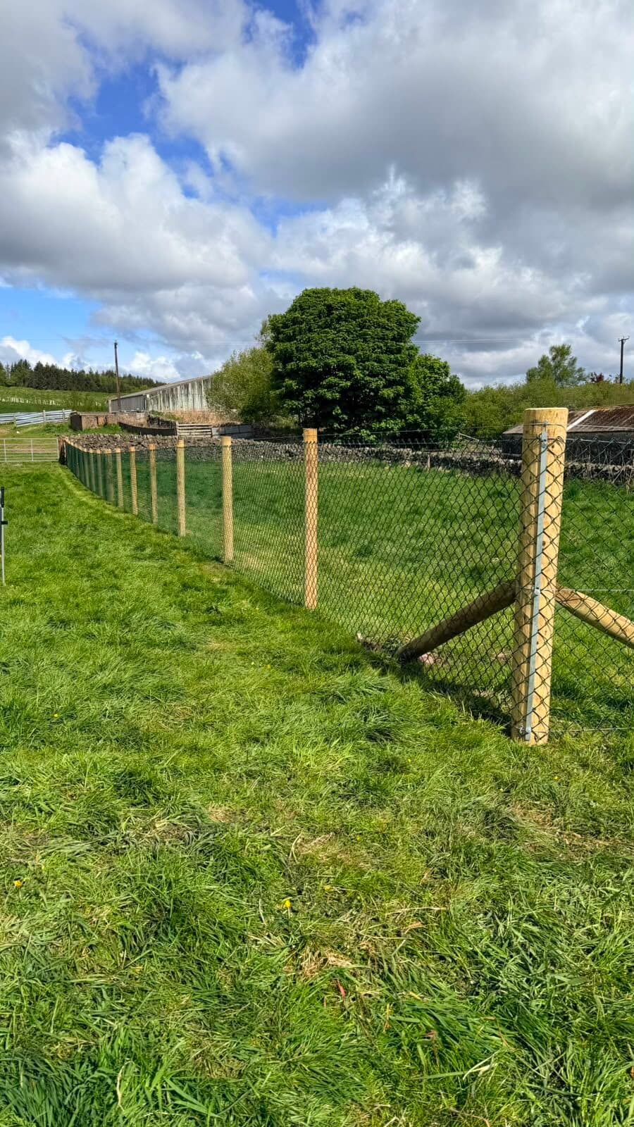 Close-board fencing following a curved street boundary